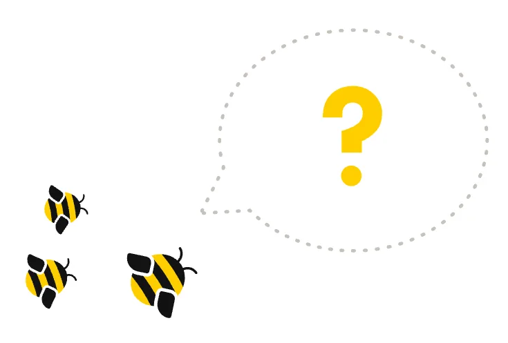 Schritt 1: Code anfordern